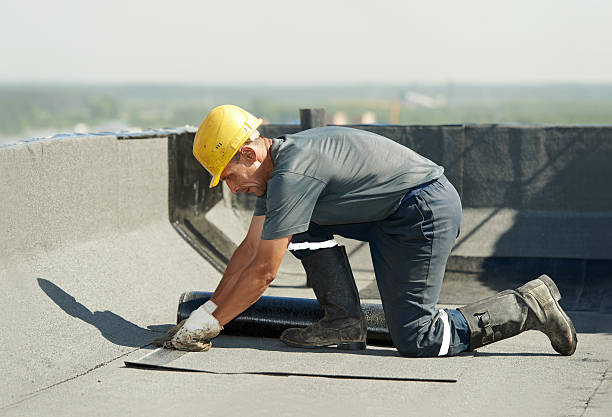 Best DIY Insulation Kits and Guidance in Windsor, MO