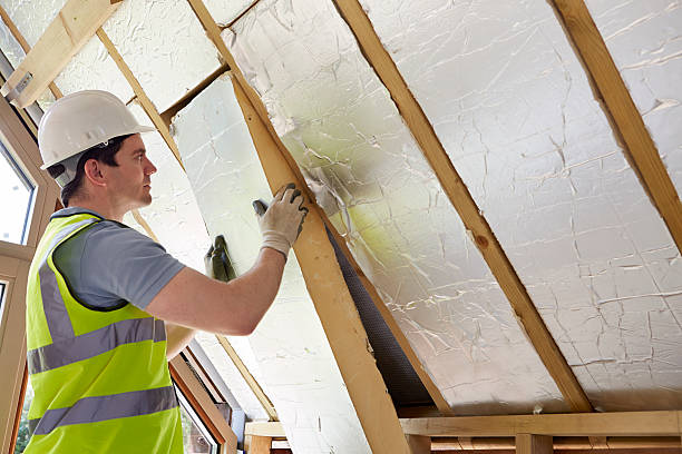 Best Specialized Insulation Services in Windsor, MO