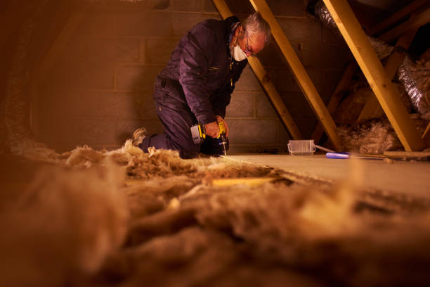 Best Cellulose Insulation in Windsor, MO